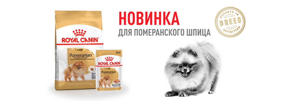Тестовый слайд